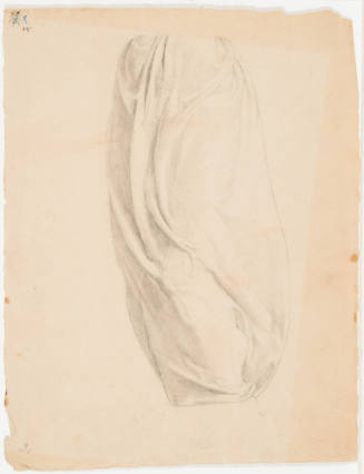 Garment Study
