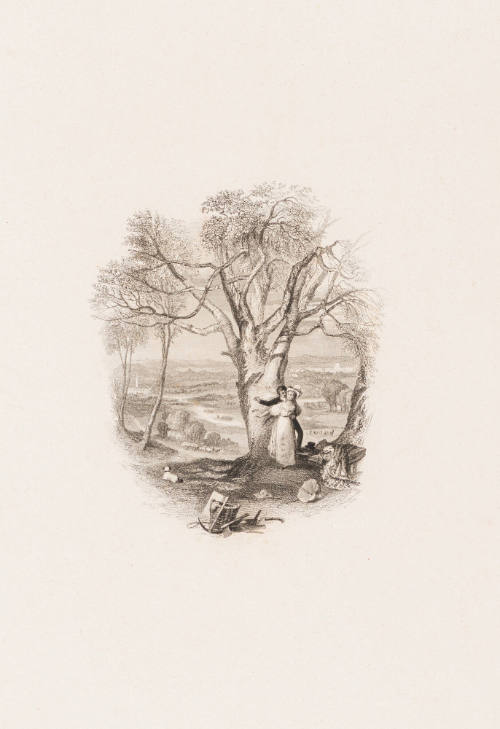 The Beech Tree's Petition