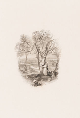 The Beech Tree's Petition