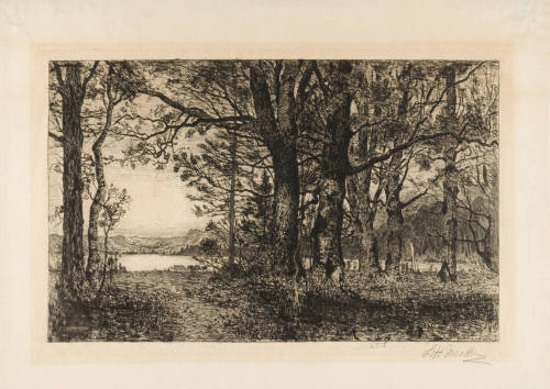 Landscape, Munich