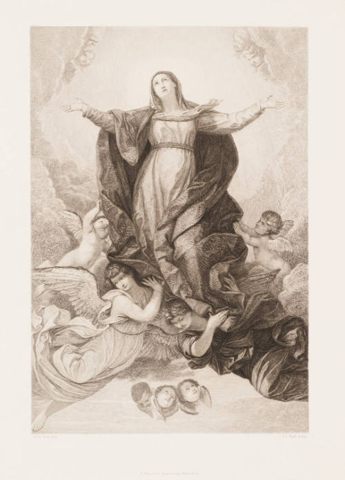 The Assumption of the Virgin