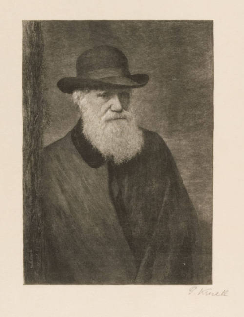 Gustav Marianus Kruell