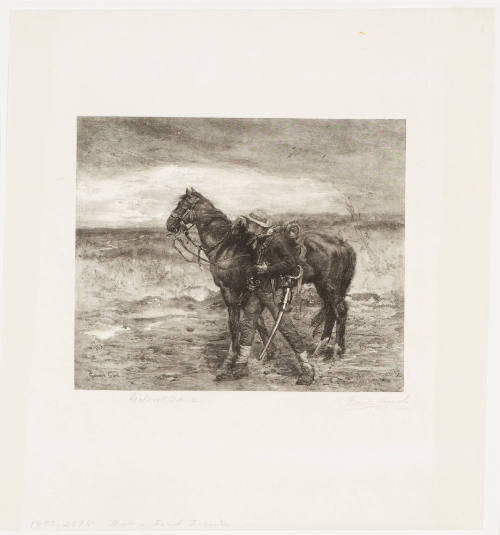 In the Enemy's Country