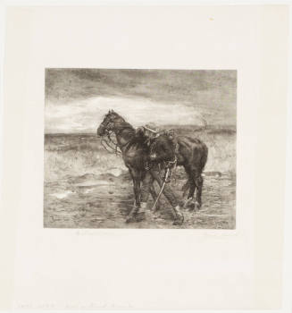 In the Enemy's Country