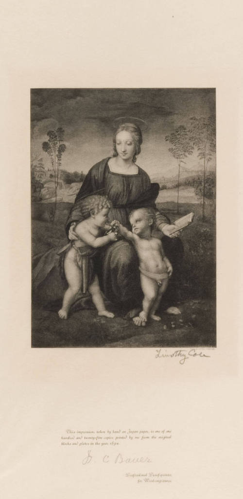 Madonna of the Goldfinch