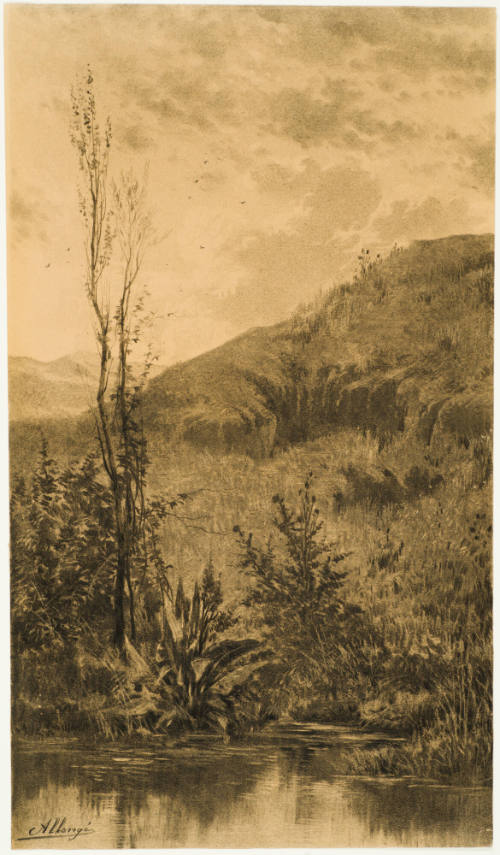 Landscape Study (Etudes de terrains) for Landscape in Charcoal