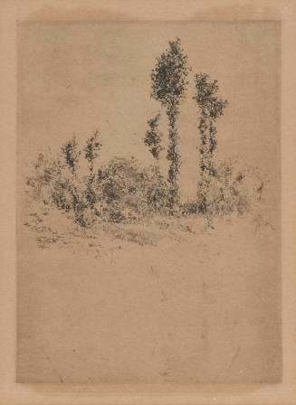 Unfinished Landscape