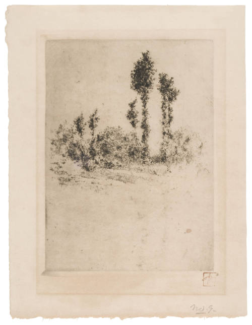 Unfinished Landscape