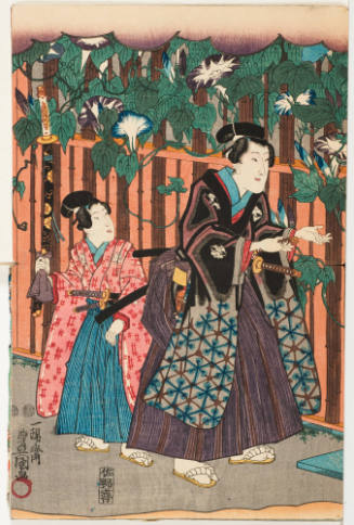 Among the Morning Glories