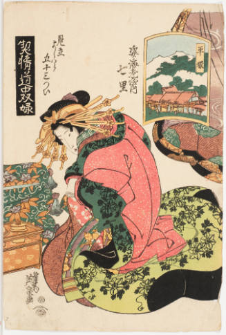 (8) Hiratsuka. Nanasato of the Sugataebi Establishment