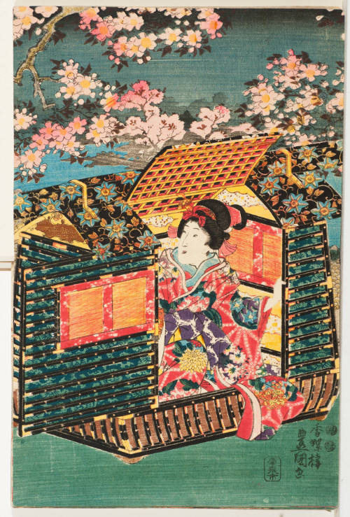 Woman in Palanquin