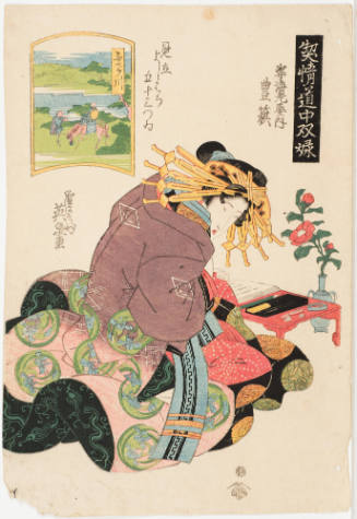 (38) Fujikawa. Toyoata of the Sugataebi Establishment