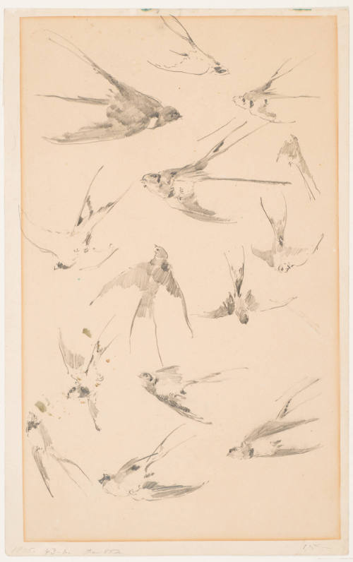 Swallows in Flight