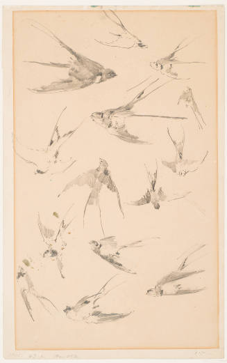 Swallows in Flight