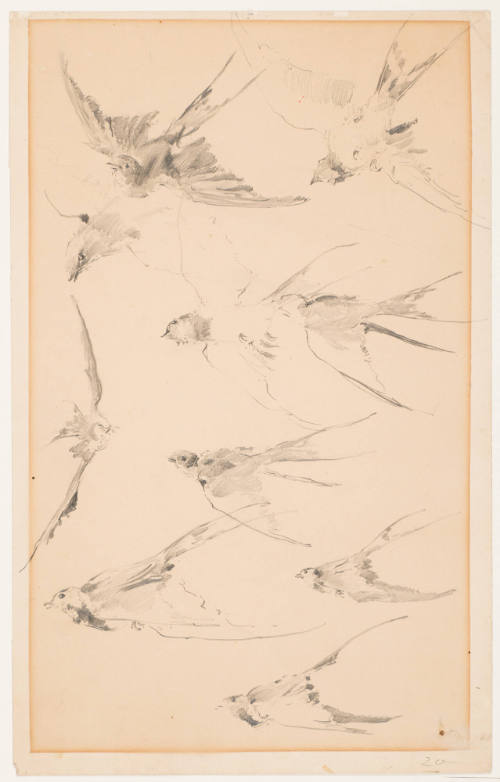 Swallows in Flight