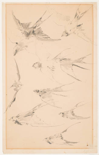 Swallows in Flight