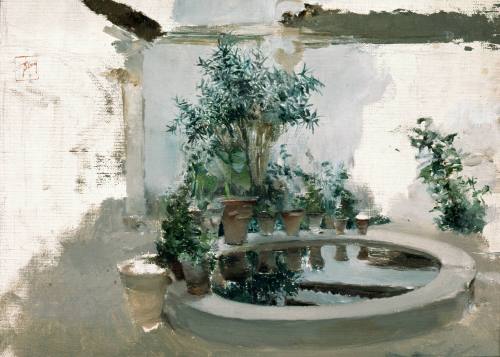 Water Basin with Plants