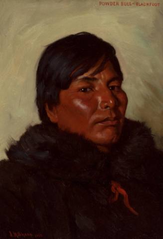 Powder Bull - Blackfoot