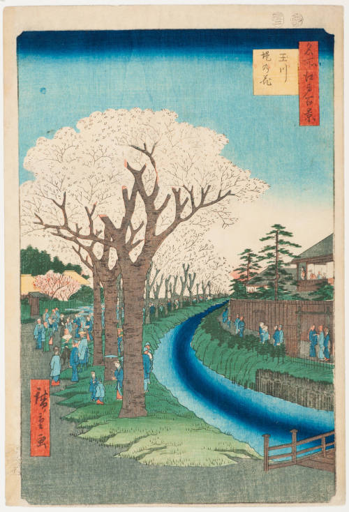 No. 42, Cherry Blossoms, Tama River Embankment (Tamagawa zutsumi no hana)