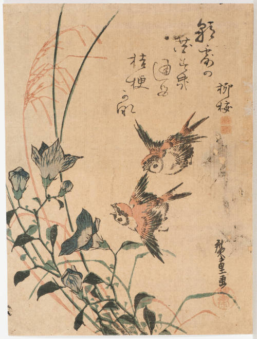Sparrows and Chinese Bellflower (kikyō)