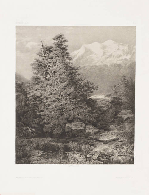 Mountain Landscape