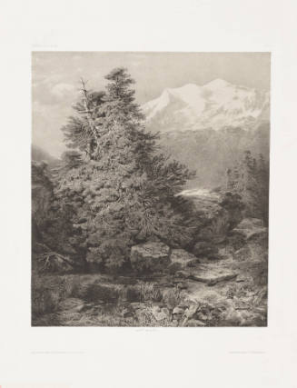Mountain Landscape