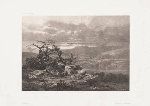 Landscape with Five Goats