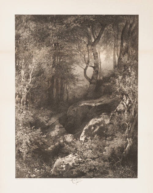 Mountain Landscape