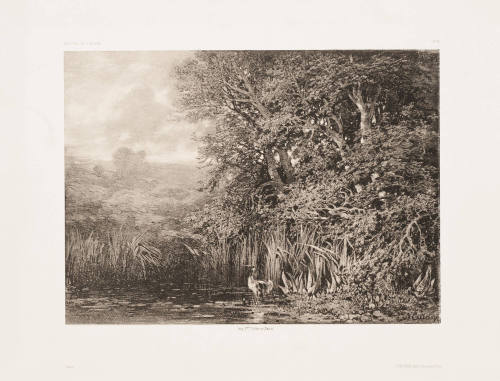 Landscape with Pond and Water Fowl