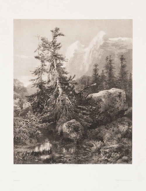 Landscape with Snow-Capped Mountains