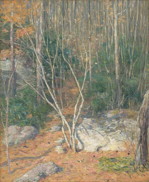 The Path in the Woods