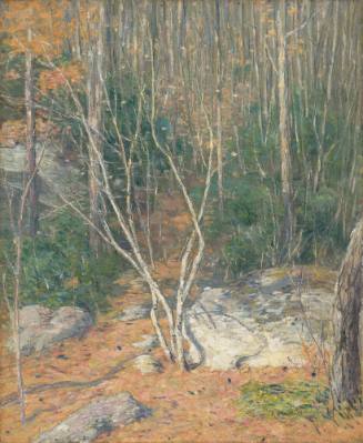 The Path in the Woods