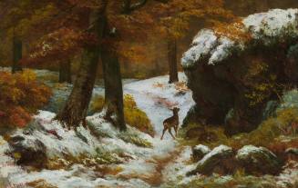 The Forest in Winter