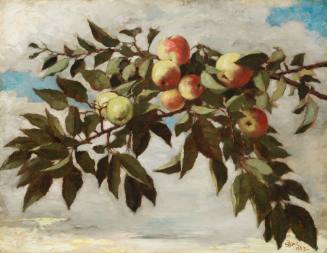 Apple Tree Branches