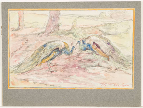 Study - Peacocks in a Landscape