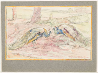 Study - Peacocks in a Landscape