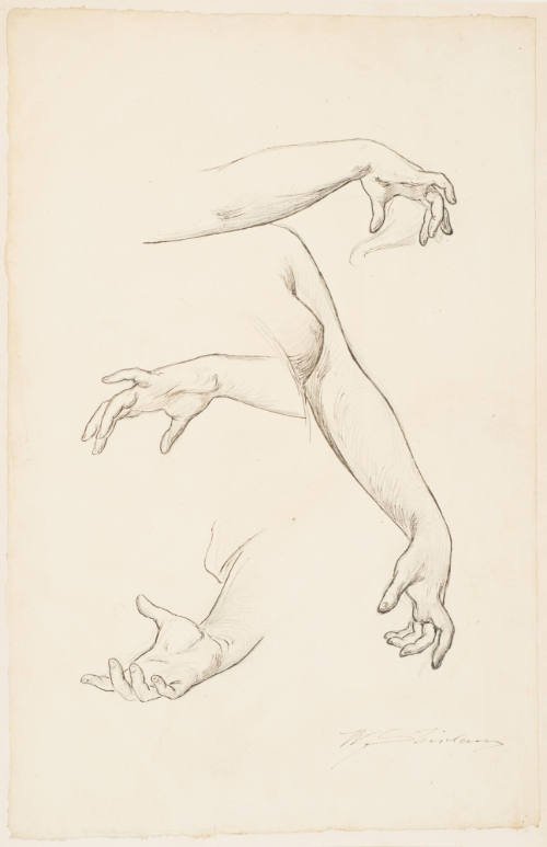 Study of Hands for Murals - Congressional Library, Washington