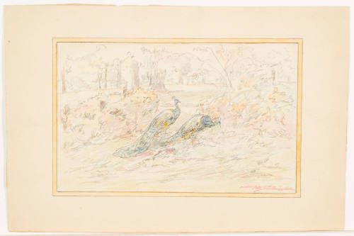 Two Peacocks in a Garden