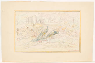 Two Peacocks in a Garden