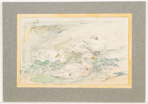 Study of Ducks - Three Ducks in a Group