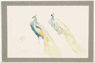 Study of Two Peacocks