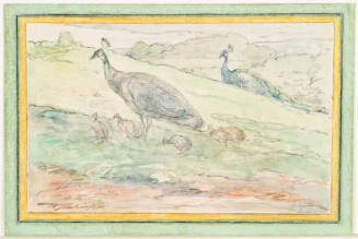 Study of Peafowls in a Landscape