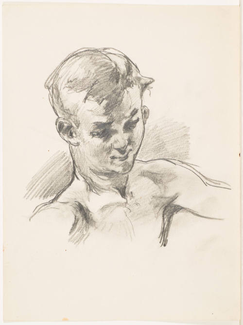Study of Boy's Head