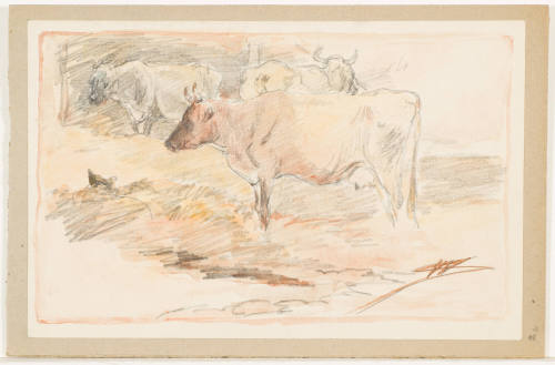 Study of Cows