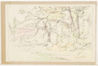 Study of a Landscape