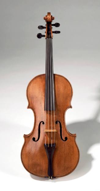 Viola