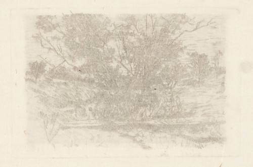 Landscape with Footbridge