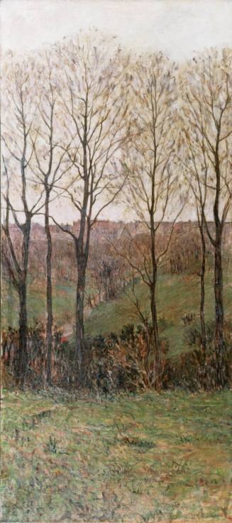 Landscape, Eden Park