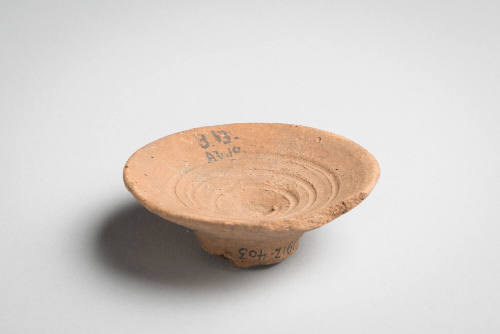 Saucer (Model)