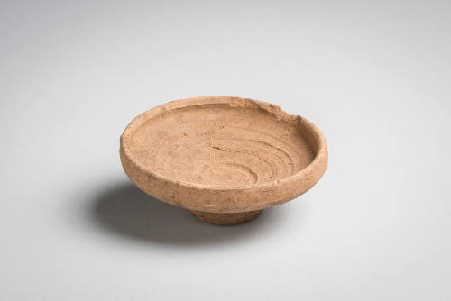Saucer (Model)
